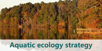 Aquatic ecology strategy and practice